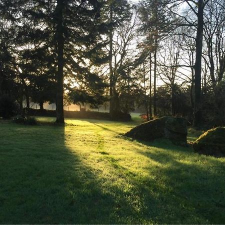 Saint-Nicolas-du-Pélem Merveilleux Cottage Dans Parc De 7,5 Hectares מראה חיצוני תמונה