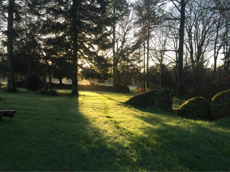 Saint-Nicolas-du-Pélem Merveilleux Cottage Dans Parc De 7,5 Hectares מראה חיצוני תמונה